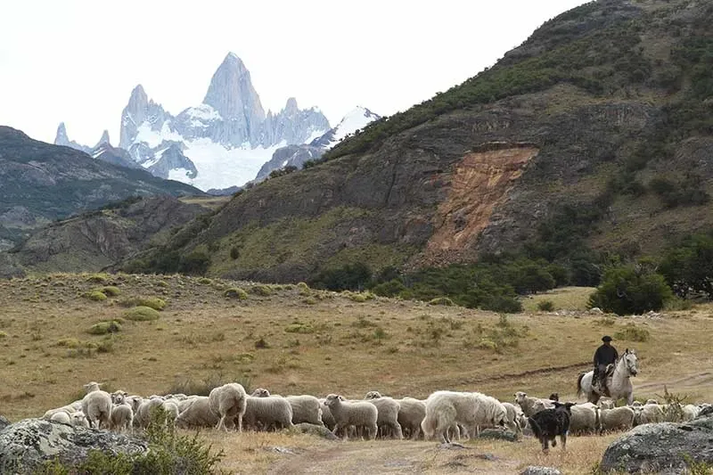 Paisaje de montaña 6