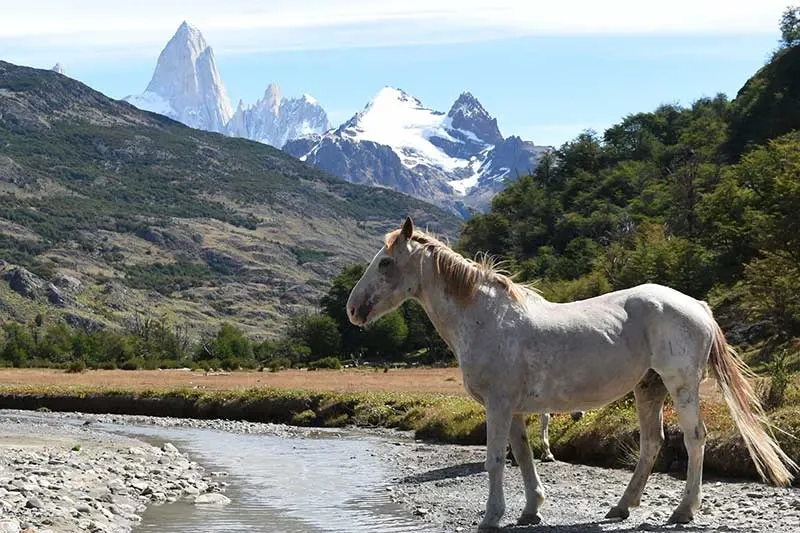 Paisaje de montaña 24