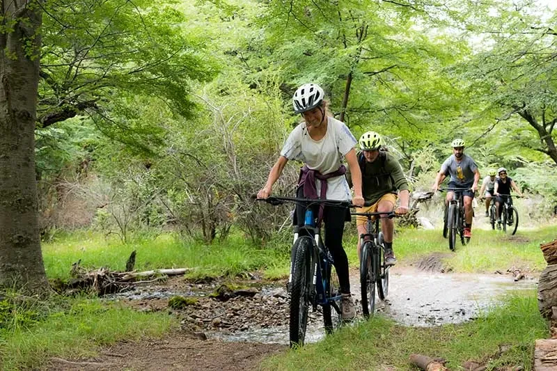 Paisaje de montaña 10