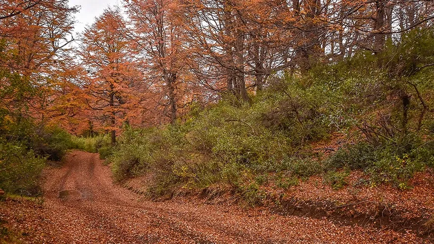Paisaje de montaña 3