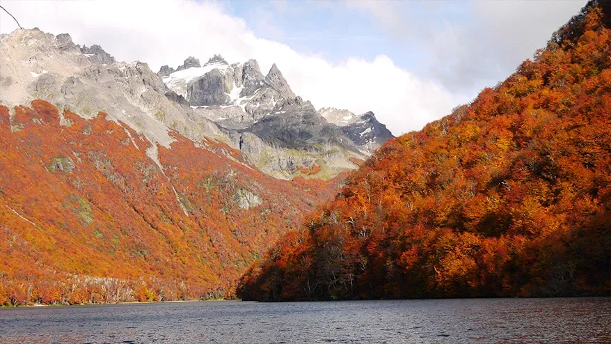 Paisaje de montaña 5