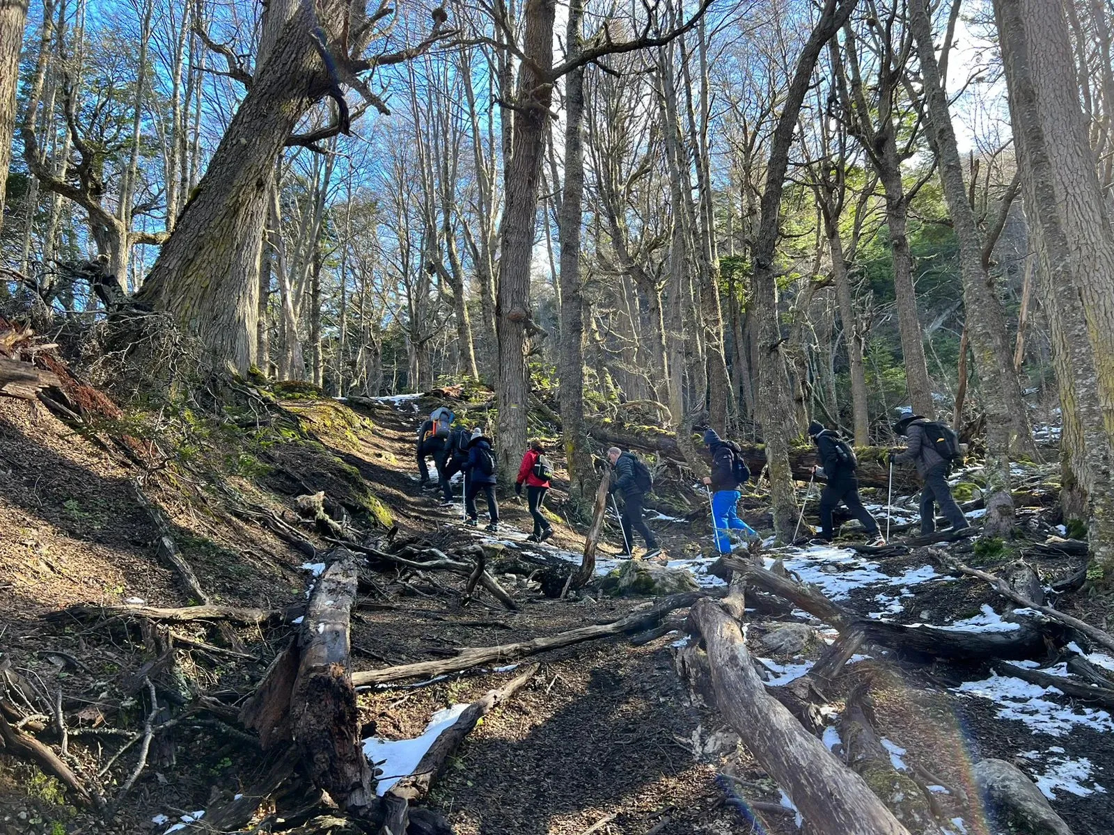 Paisaje de montaña 13