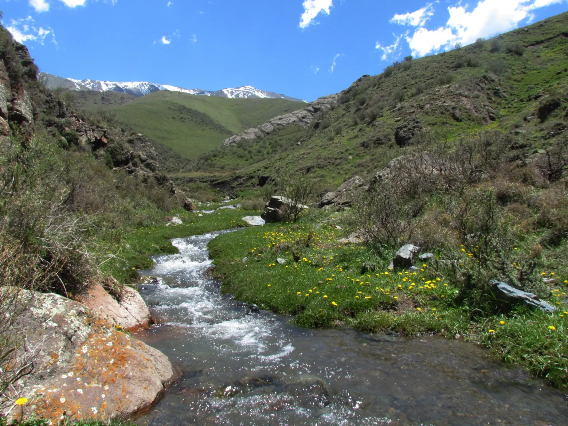Paisaje de montaña 3