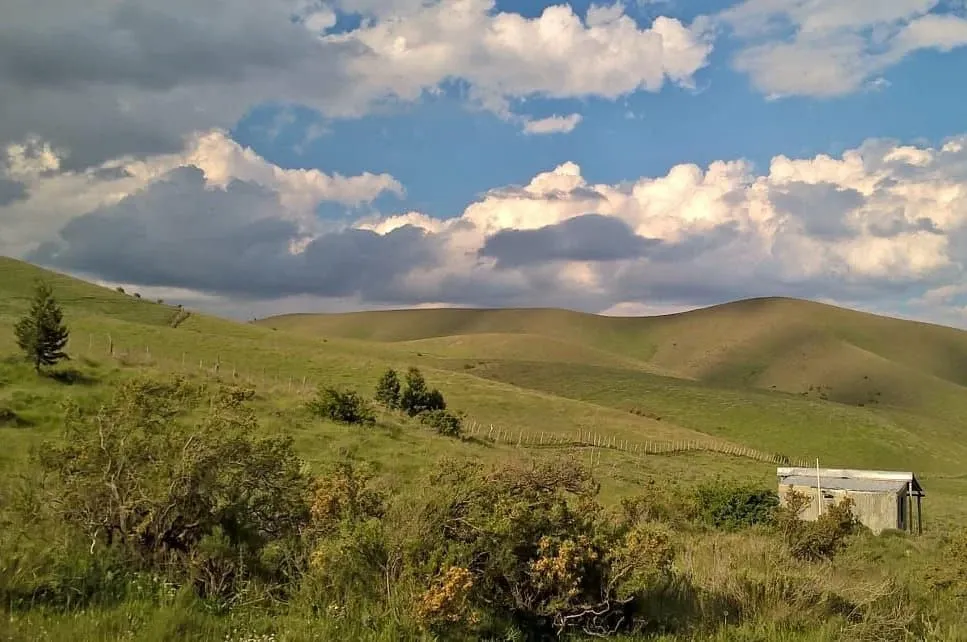 Paisaje de montaña 5