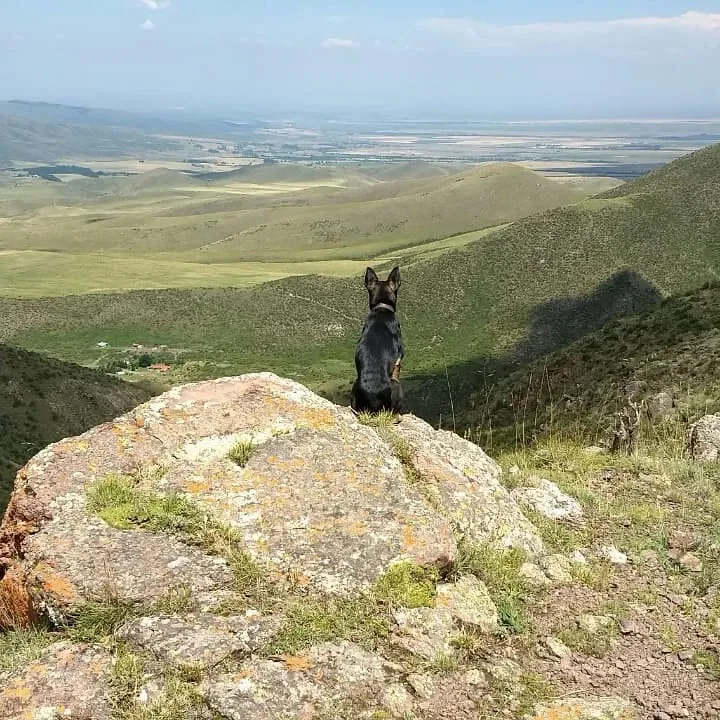 Paisaje de montaña 6