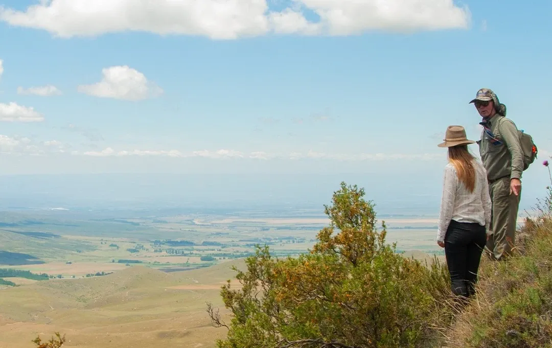 Paisaje de montaña 8