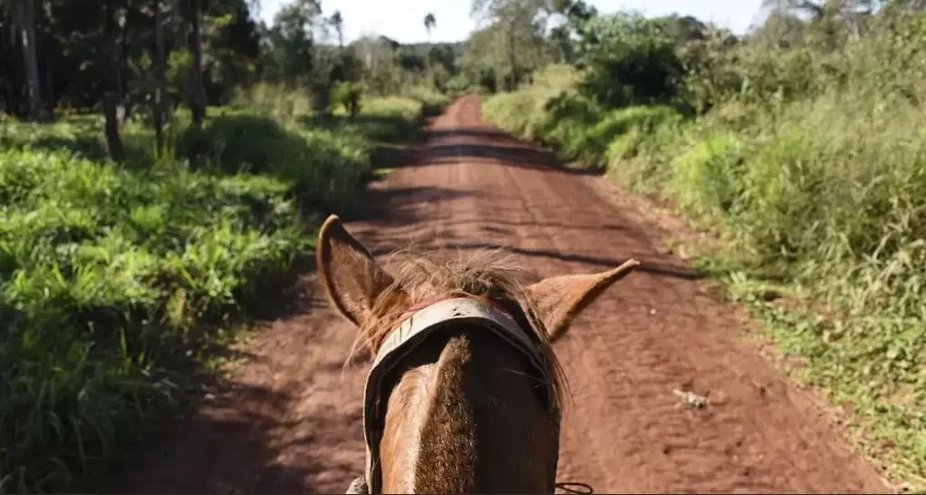 Paisaje de montaña 5