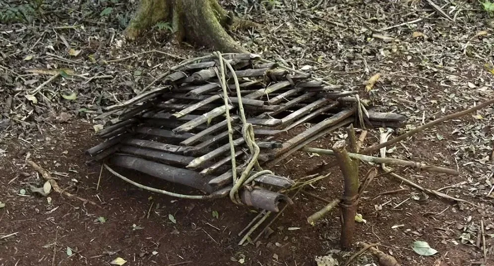 Paisaje de montaña 6