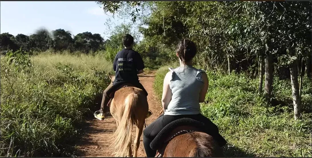 Paisaje de montaña 8