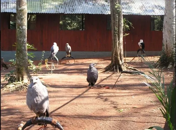 Paisaje de montaña 5