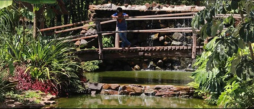 Paisaje de montaña 10