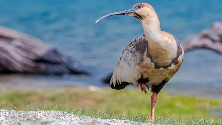 Paisaje de montaña 3
