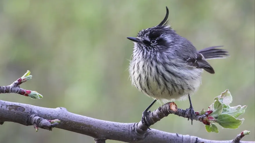 Paisaje de montaña 6