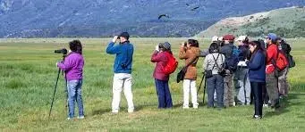 Paisaje de montaña 10