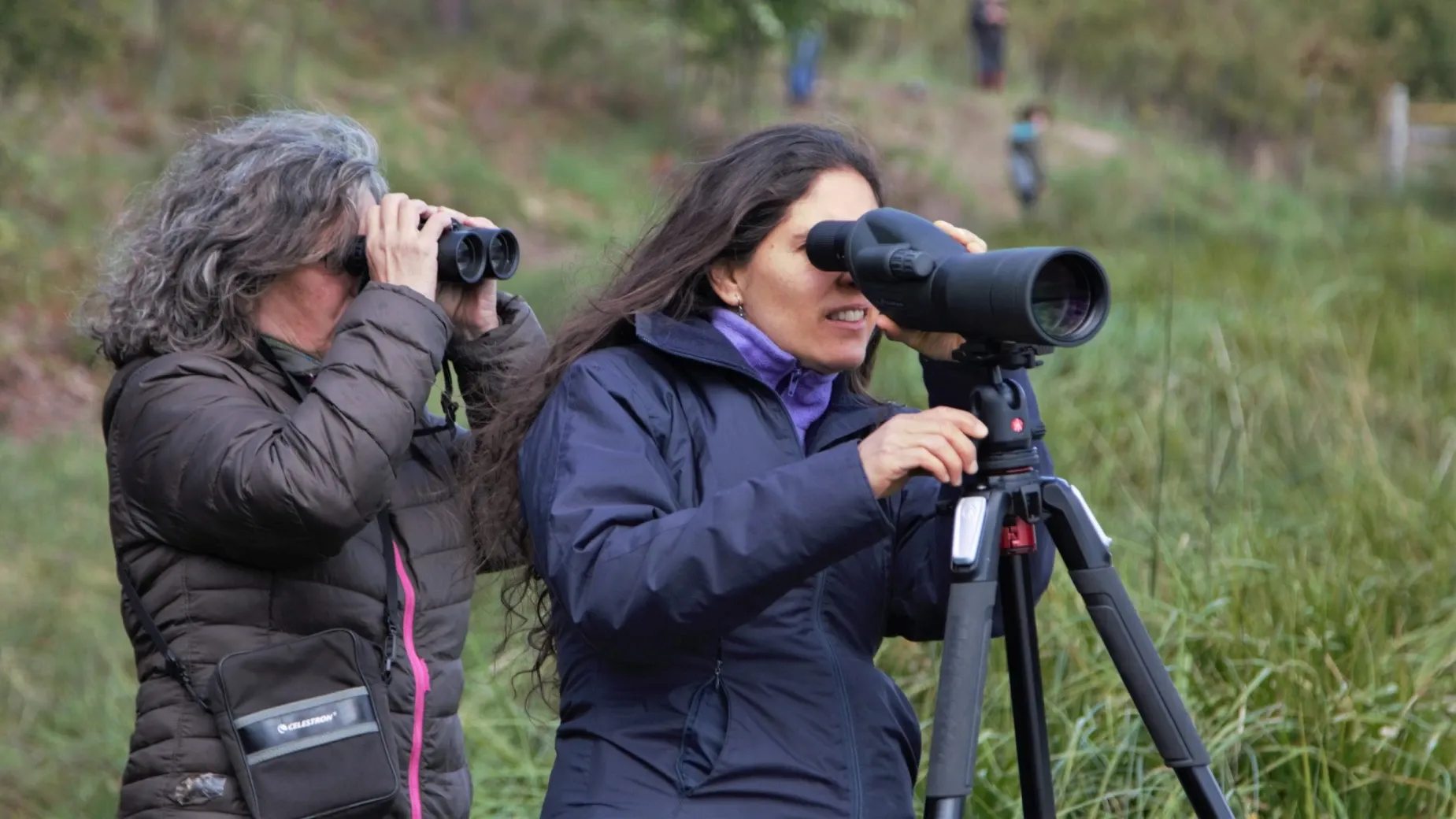 Paisaje de montaña 12