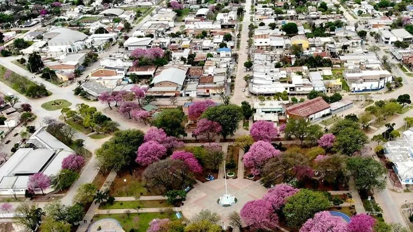 Paisaje de montaña 7