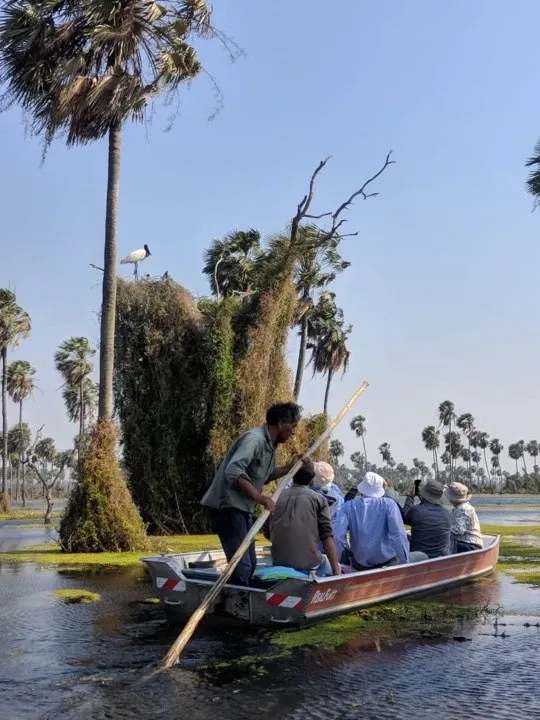 Paisaje de montaña 5