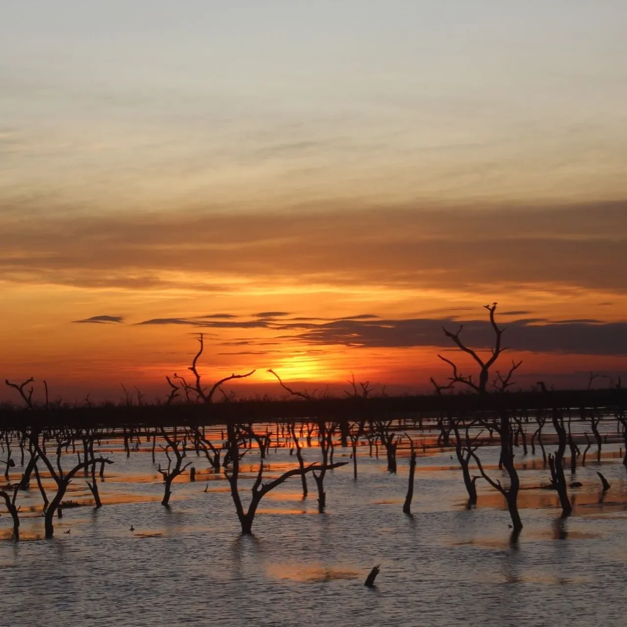 Paisaje de montaña 11