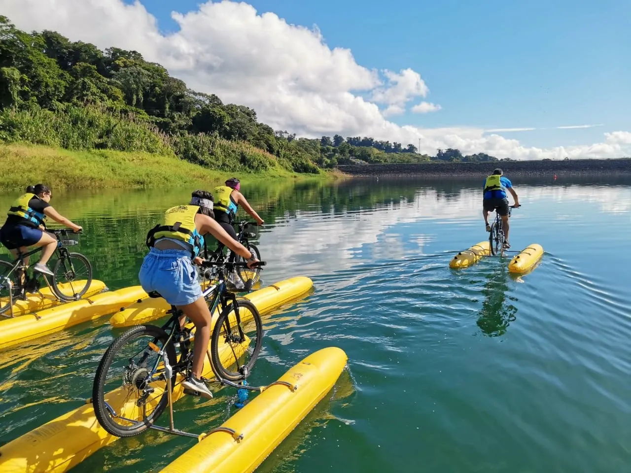 Paisaje de montaña 5