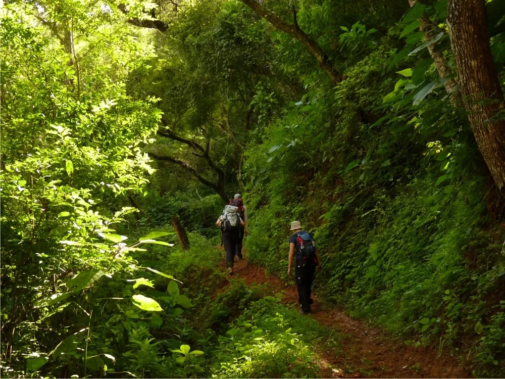 Paisaje de montaña 7
