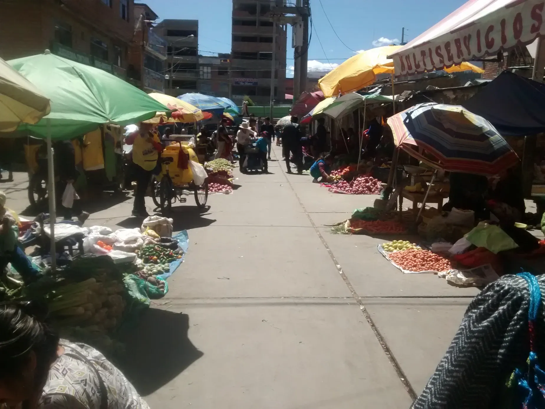 Paisaje de montaña 9