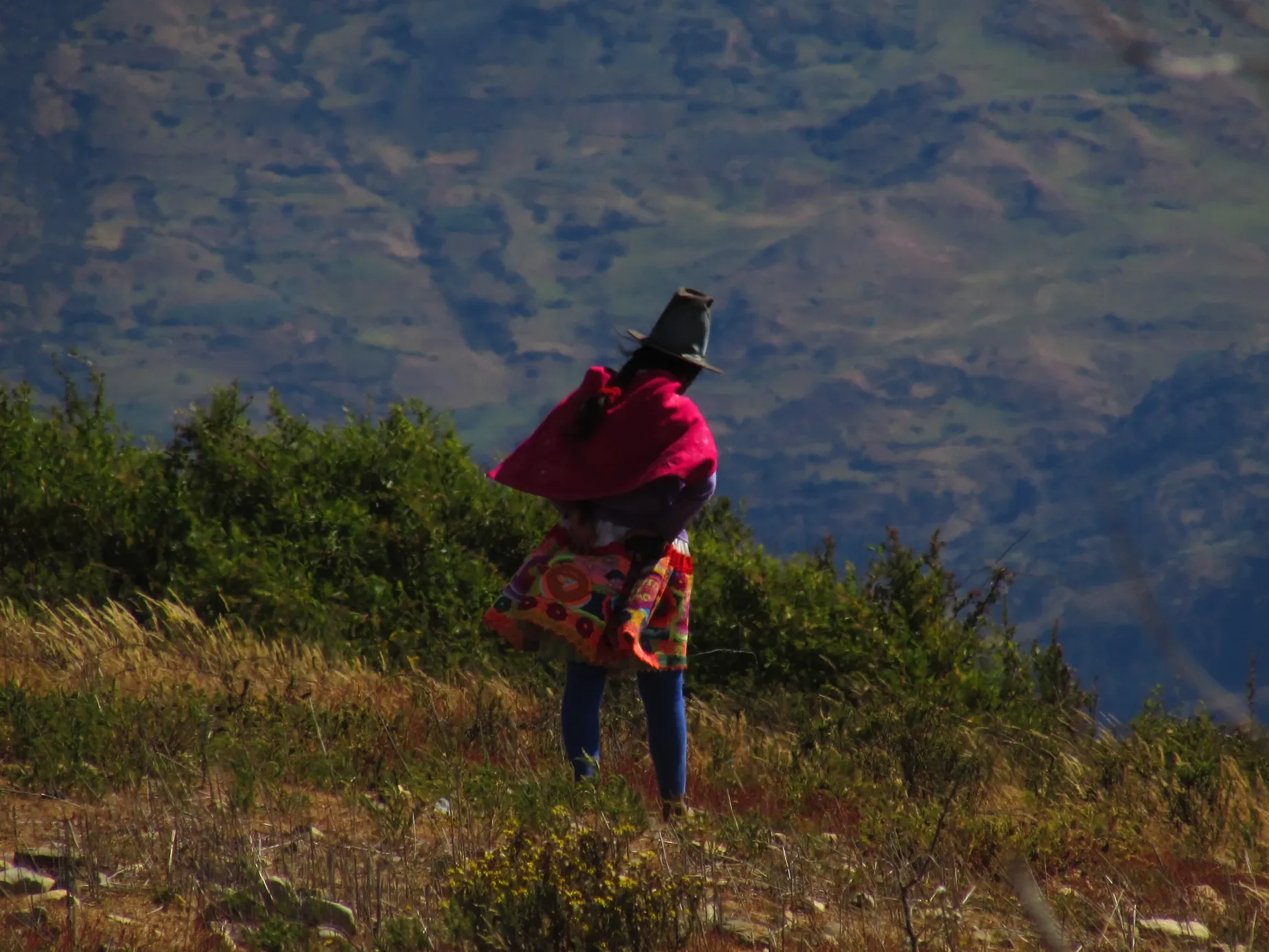 Paisaje de montaña 12