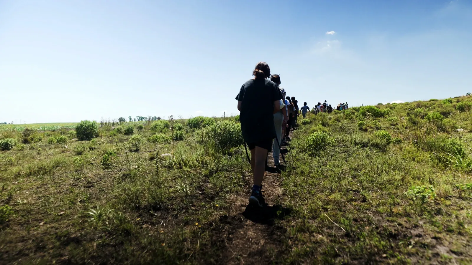 Paisaje de montaña 8