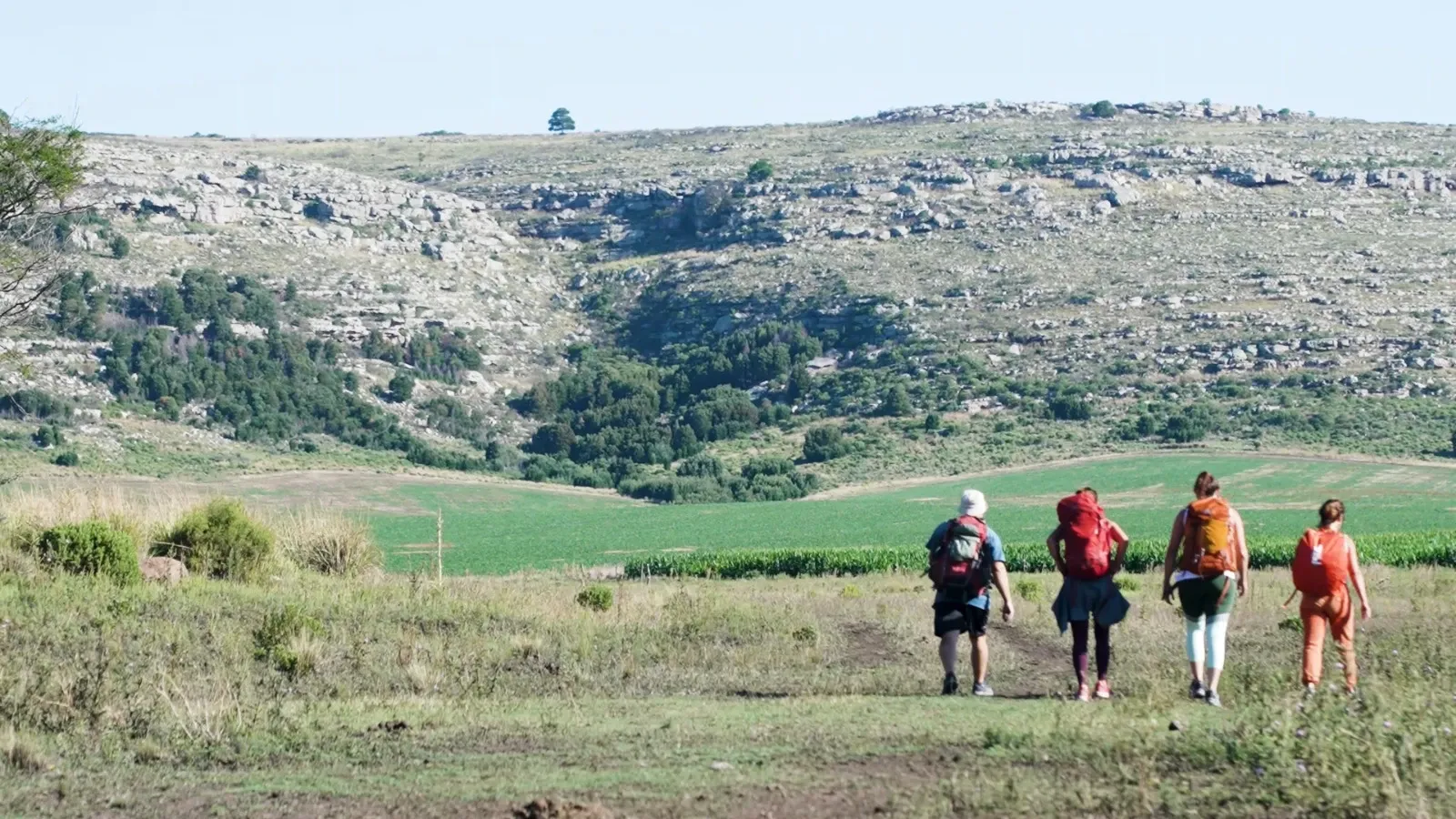 Paisaje de montaña 7