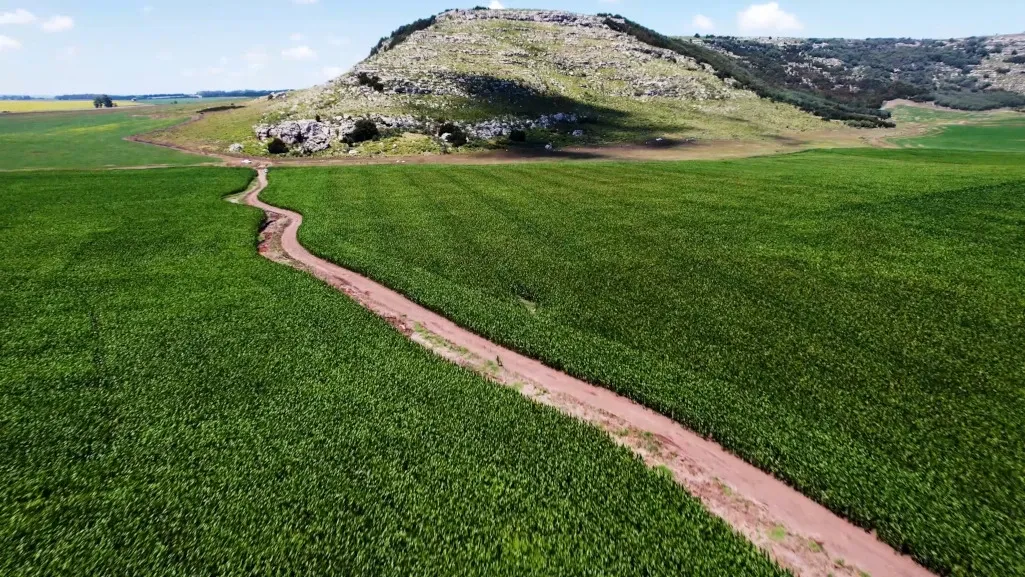 Paisaje de montaña 10