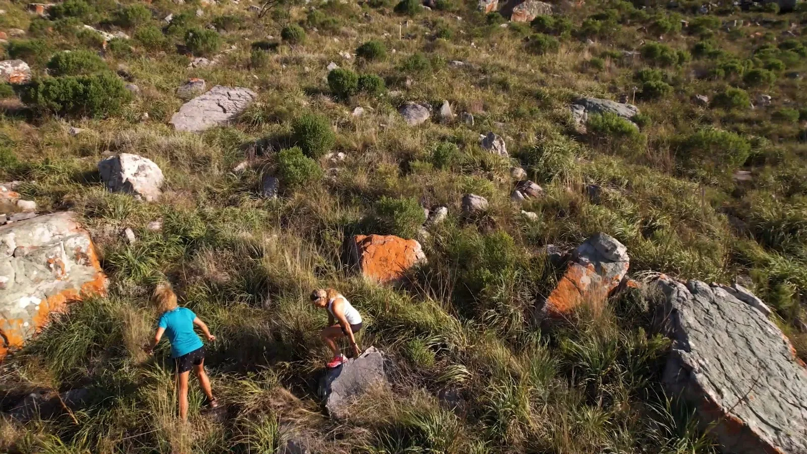 Paisaje de montaña 11