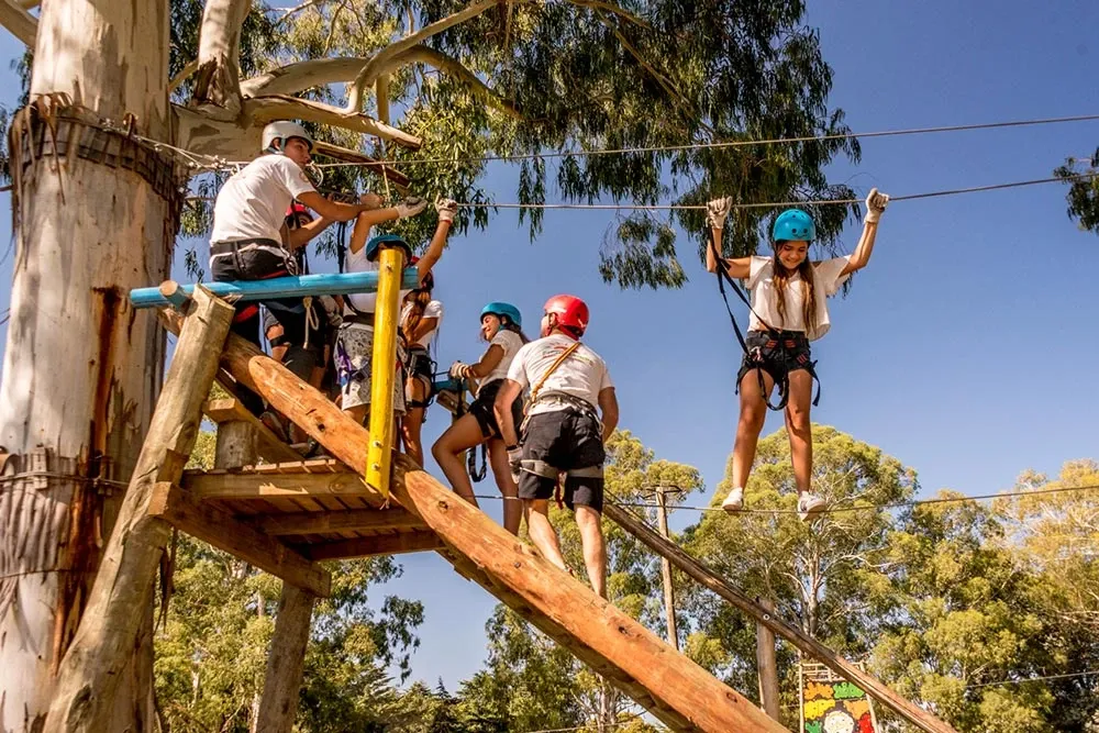 Paisaje de montaña 8