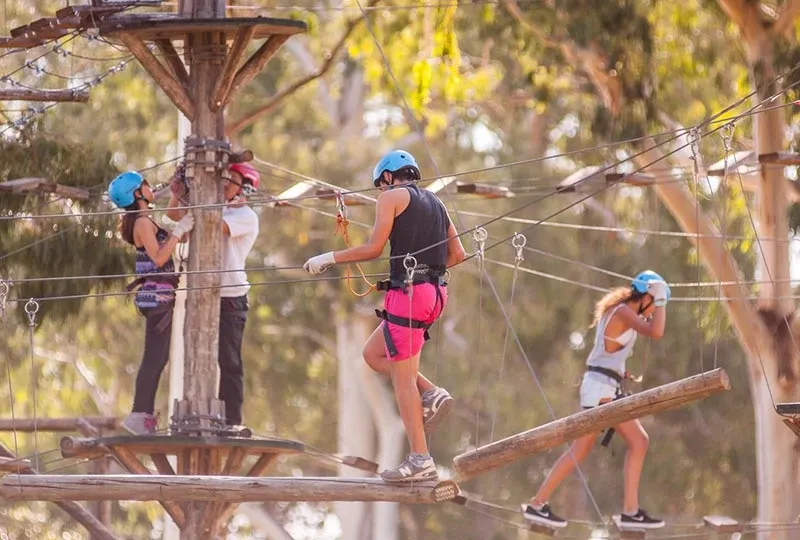 Paisaje de montaña 10