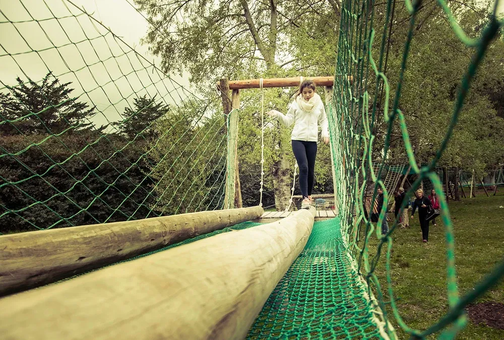 Paisaje de montaña 5