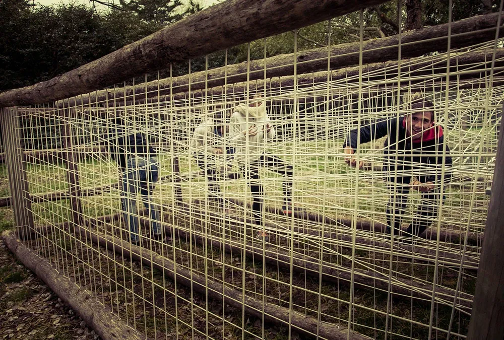 Paisaje de montaña 7