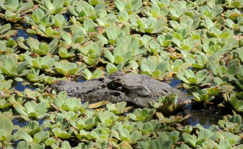 Paisaje de montaña 3
