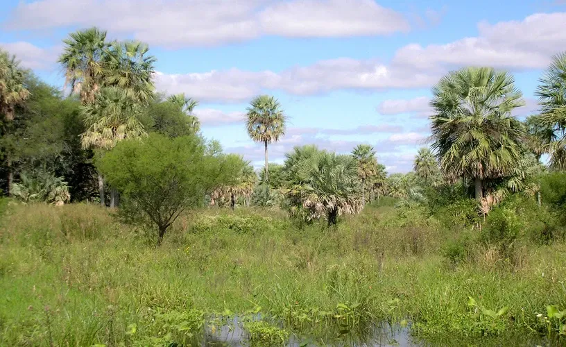 Paisaje de montaña 5