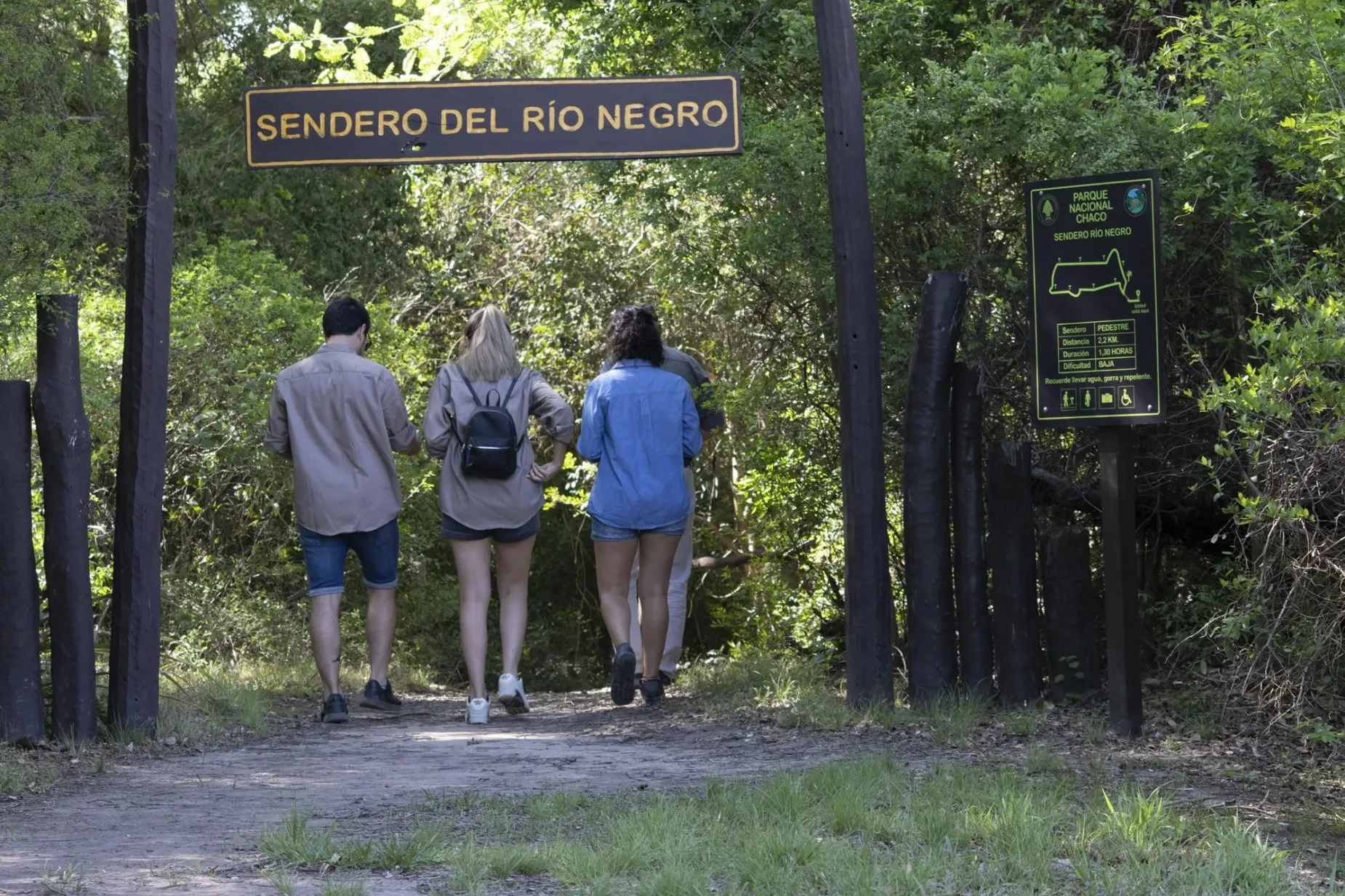 Paisaje de montaña 7