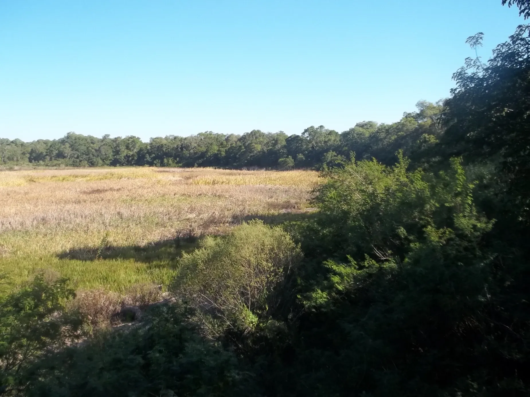 Paisaje de montaña 8