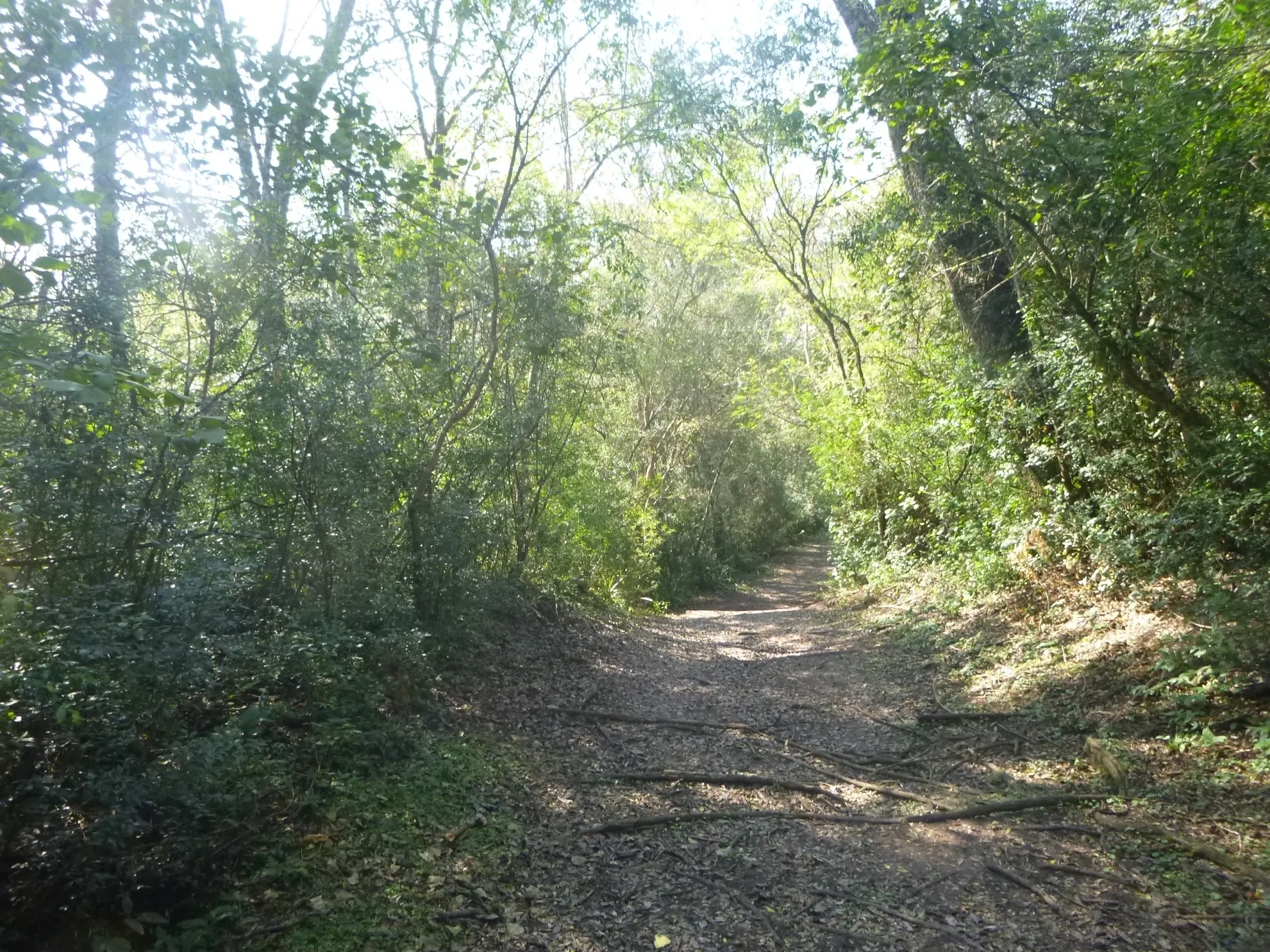 Paisaje de montaña 9