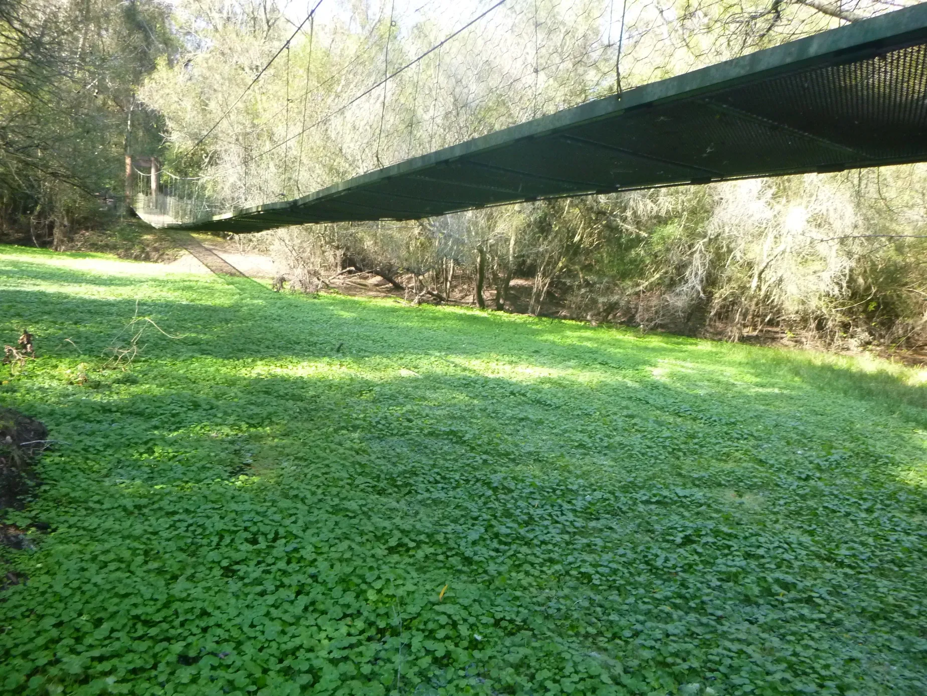 Paisaje de montaña 10