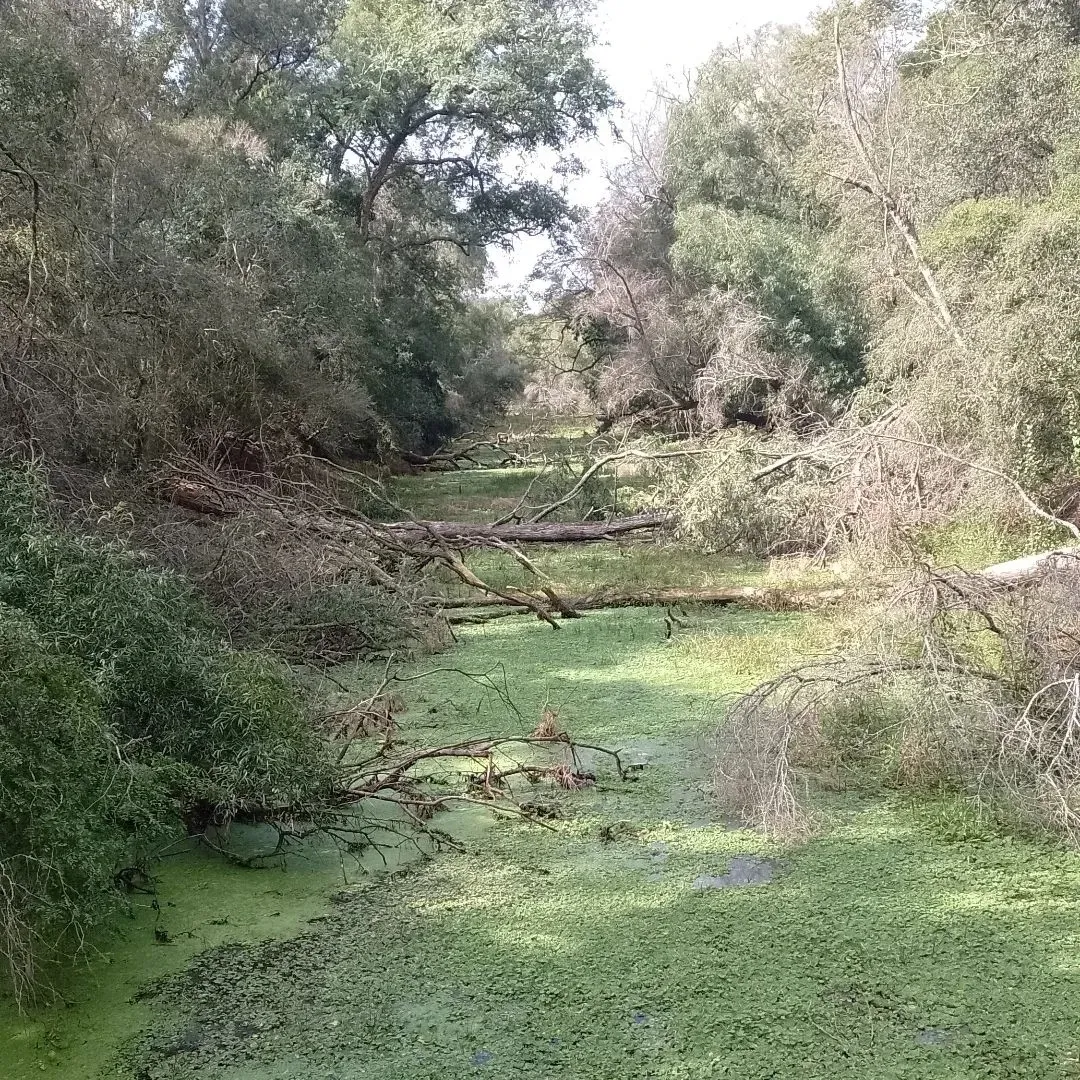 Paisaje de montaña 12