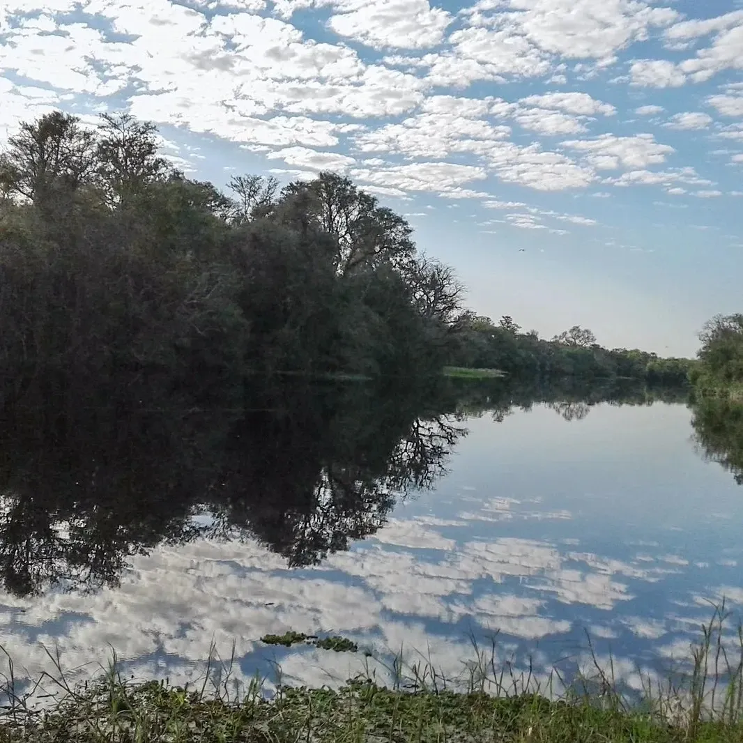 Paisaje de montaña 15