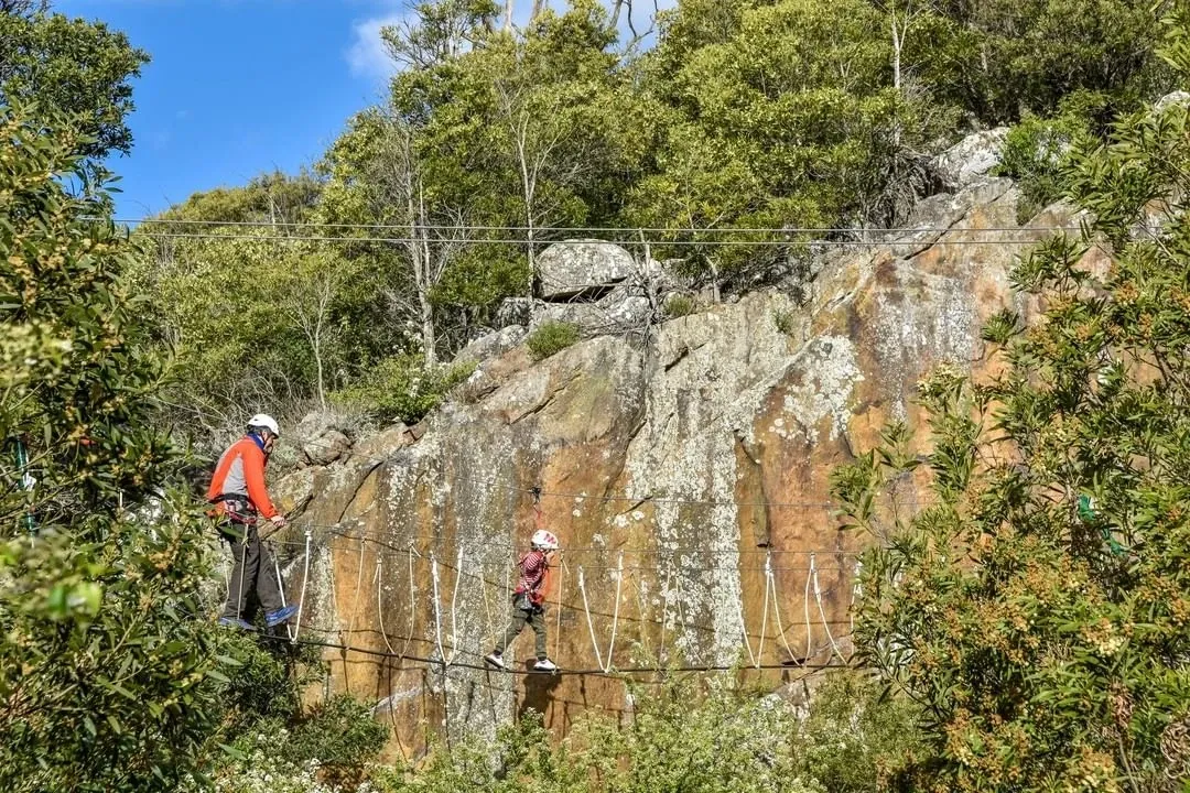 Paisaje de montaña 14