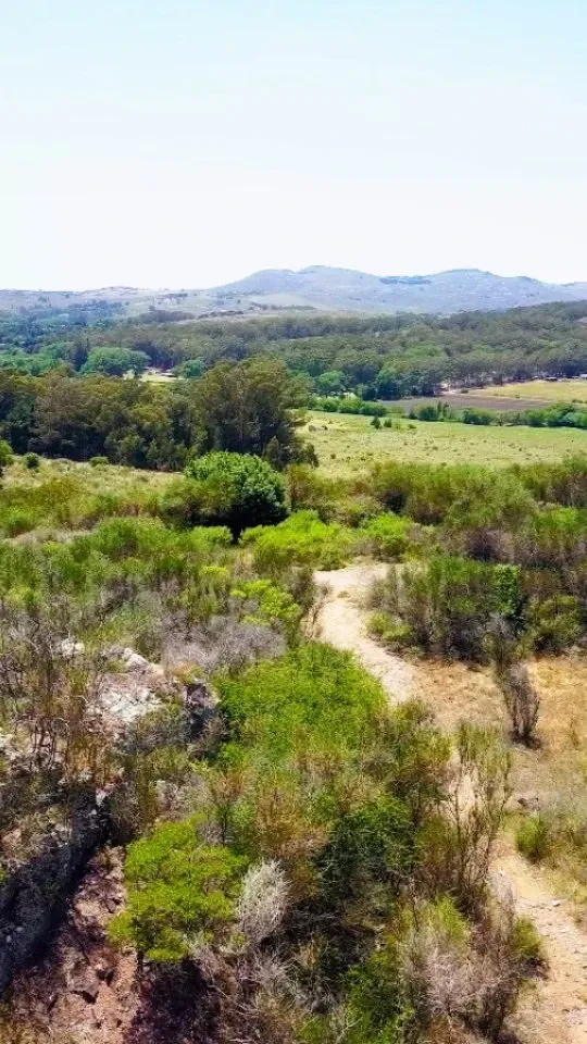 Paisaje de montaña 15