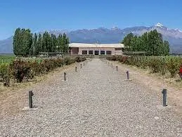 Paisaje de montaña 4