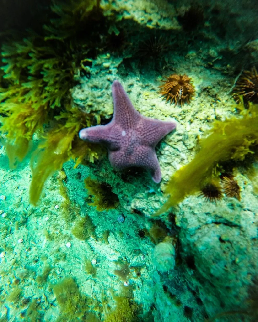 Paisaje de montaña 7