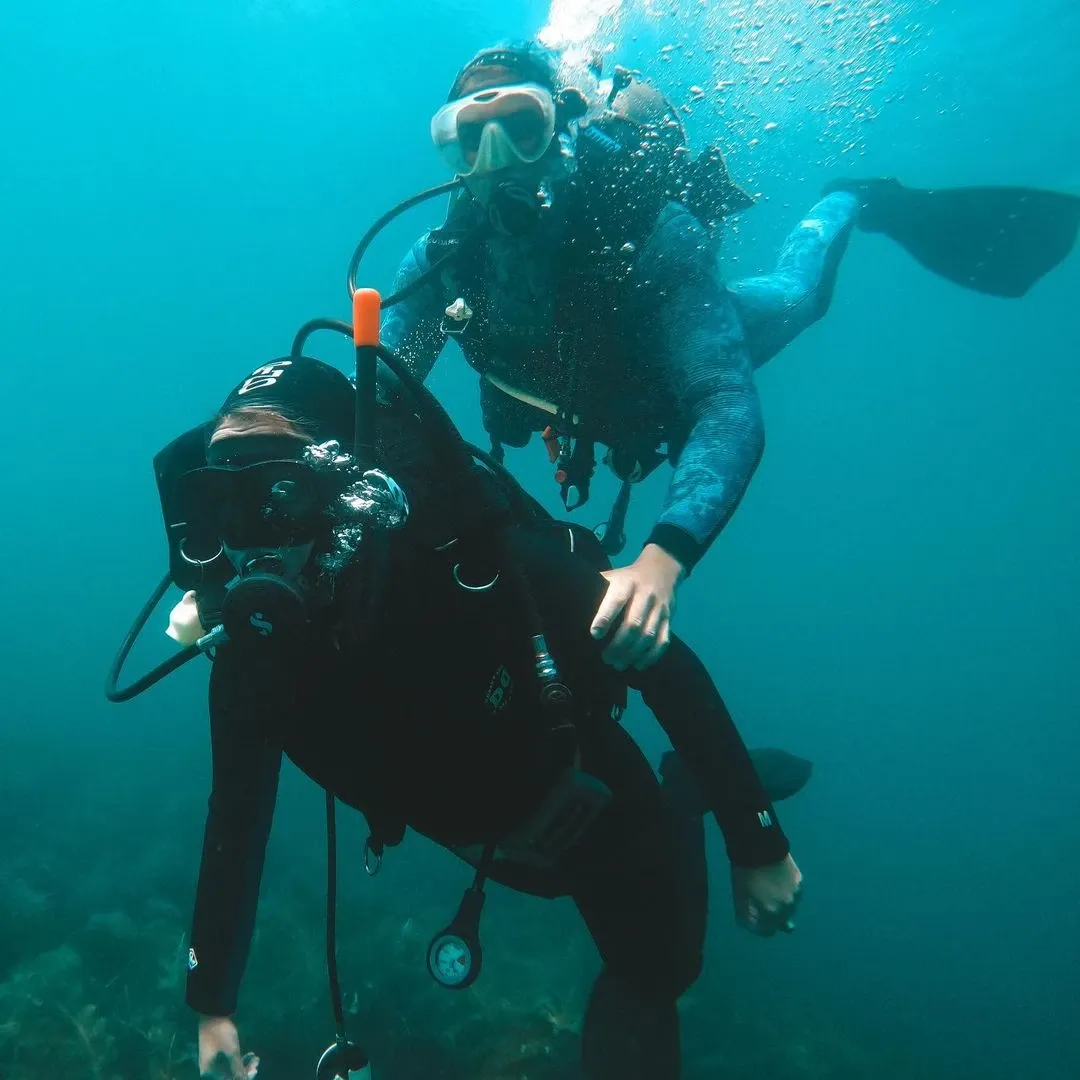 Paisaje de montaña 11