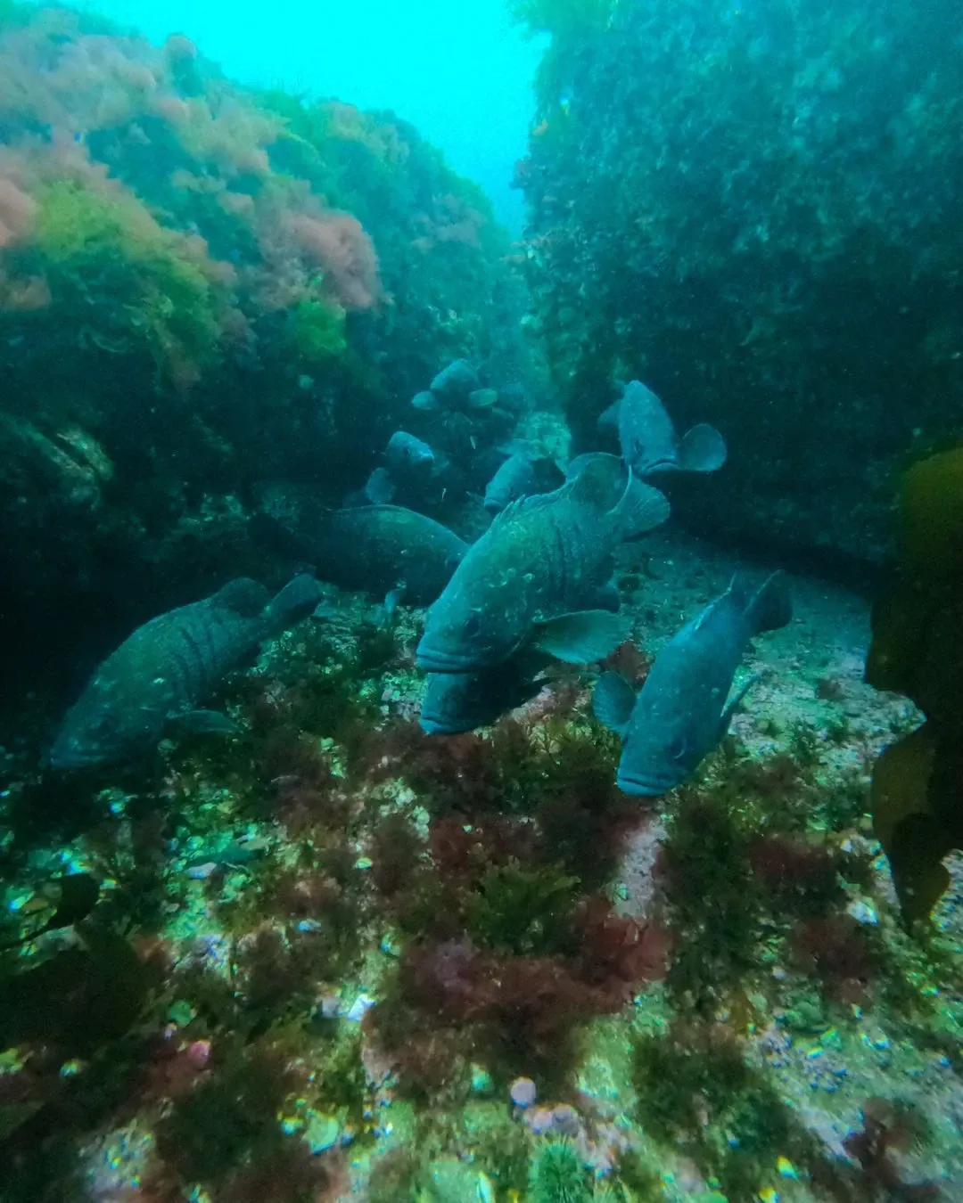 Paisaje de montaña 8