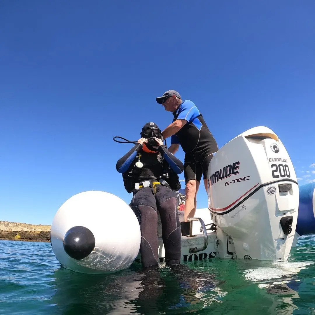 Paisaje de montaña 10