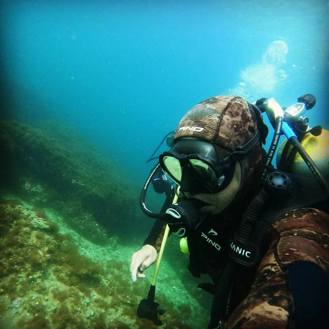 Paisaje de montaña 12